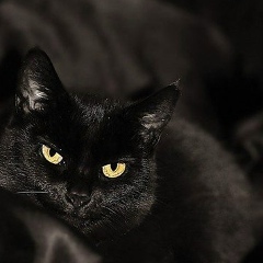 Айлара Якубова, 16.05, Астана