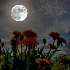 Виктория Малеева, 03.03.1930, Самара