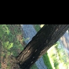 Сергей Нимчин, Тюмень