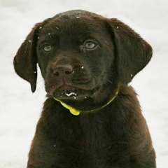 Anastasia Sakramentos, 26.11.1988, Сафоново