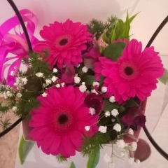 Людмила Майшева, Алматы