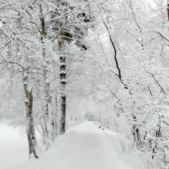 Наташа Ната