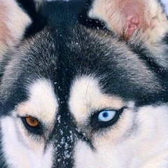 Жанболат Омиралиев, 19.07.1996, Алматы