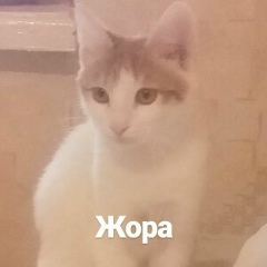 Меруерт Даулет, 05.12.2002, Актау