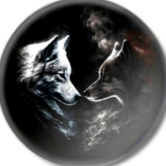 Булат Чимаев, 20.05.1988, Грозный