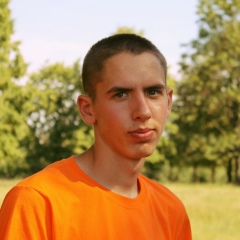 Владик Онищенко, Сороки