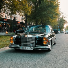 Олег Харламов, Тараз