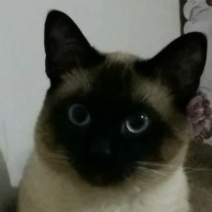 Yuliya Ponomarenko, 02.09, Санкт-Петербург