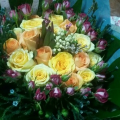 Hay-Thu-Swe Mon, 09.09.1988