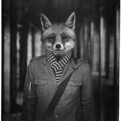 Павел Перевозщиков, 24.06.1986, Нижнекамск