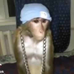 Георгий Николенко, 29.12.1999, Москва