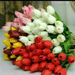 Мадина Сабитқызы, 31.12.1992, Астана