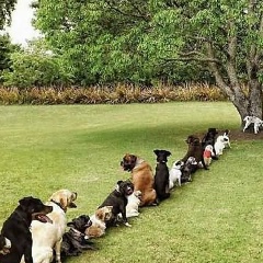 Айтбай Досжанов, 18.05.1994, Нукус