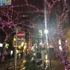 Татьяна Коротеева, Москва