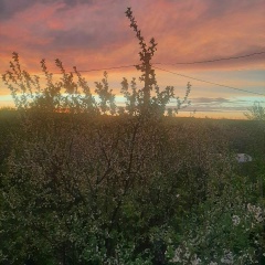 Ольга Ольгина