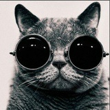 Виталий Чаплинский, 29.09, Днепр (Днепропетровск)