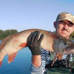 Олег Яворович, 22.02.1971, Благовещенское / Ульяновка