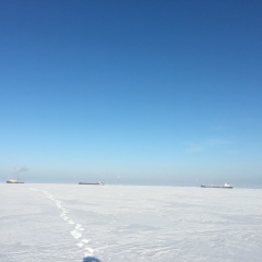 Руслан Кулакаев, Санкт-Петербург