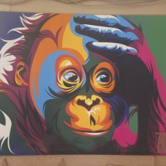 Александр Бей, 19.06