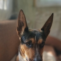 Айша , 15.04.1981, Санкт-Петербург