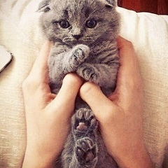 Макка Турлаева, 03.01.1998, Центора-Юрт (Новый Центорой)