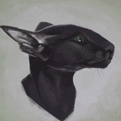 Галка Алексеева, 12.05