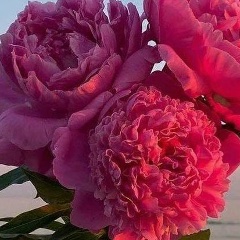 Замзагуль Ермуханбетова, 18.02.1965, Актобе