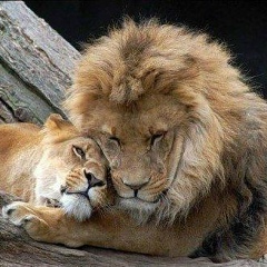 Алена Фролова, 17.02, Алматы