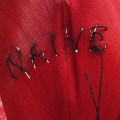 Francesca Ciobanu, 09.12.1996, Кишинев