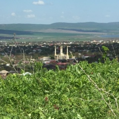 Бусана Домбаева, Грозный