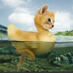 Кирилл Гусев, 16.09.1983, Коломна