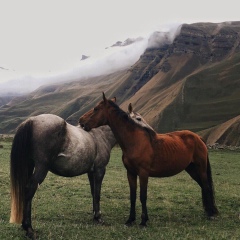 Айбек Адилов, 02.08, Кульсары