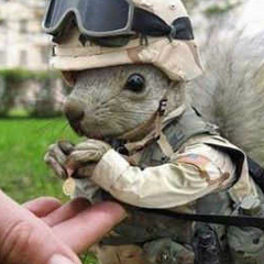 Толик Кацапов, 09.09, Днепр (Днепропетровск)