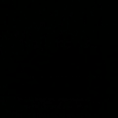 Black Cam, 01.01, Киев