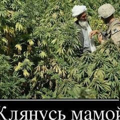 Александр Бойков, 03.11.1980, Москва