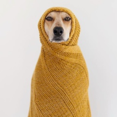 Оля Нестеренко