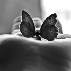 Александра Краснопольская, 28.04, Махачкала