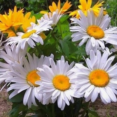 Наталия Потапова, 16.08.1960, Волгоград