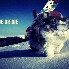 Евгений Зайцев, 13.11.1988, Москва