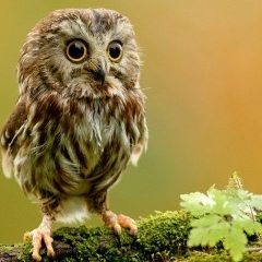 Людмила Кузнецова, 19.01, Новочебоксарск