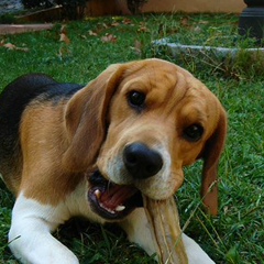 Стёпа Сергеев, 30.05, Череповец