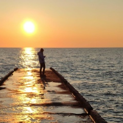 Елена Синицкая