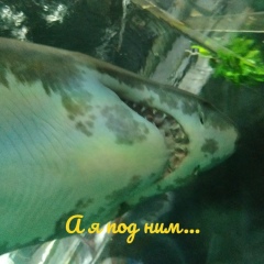 Юрий Абдулгаков, 24.05