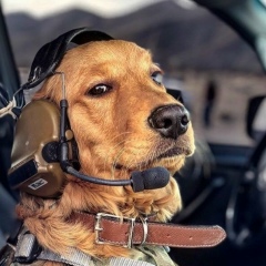 Павел Ковалёв, 16.12, Санкт-Петербург