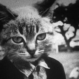 Дмитрий Михалев, 20.04.1985, Москва