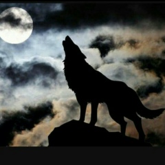 Сергей Коломийчук, 10.04.1978, Санкт-Петербург