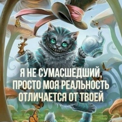 Ку Бя, 19.03, Волгоград