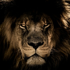 Nurislam Halmetov, Астана