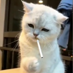 Кирилл Сибиряков, 08.07, Москва