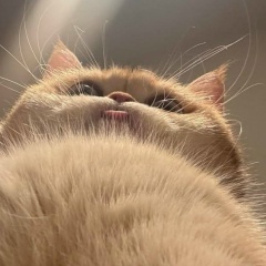 Илья Владимирович, 12.10, Железногорск